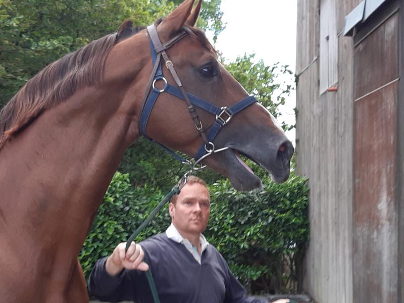 Faut-Il des 7 Vallons