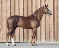 Faut-Il des 7 Vallons