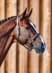 Faut-Il des 7 Vallons