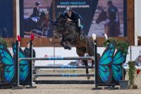 Manco Cápac, CSI** Lier 14 février 2025