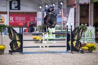 Manco Cápac CSI** Lier — GP 7yo