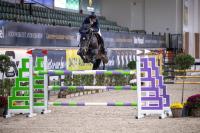 Manco Cápac CSI** Lier — GP 7yo