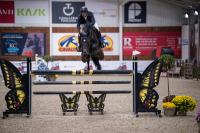 Manco Cápac CSI** Lier — GP 7yo