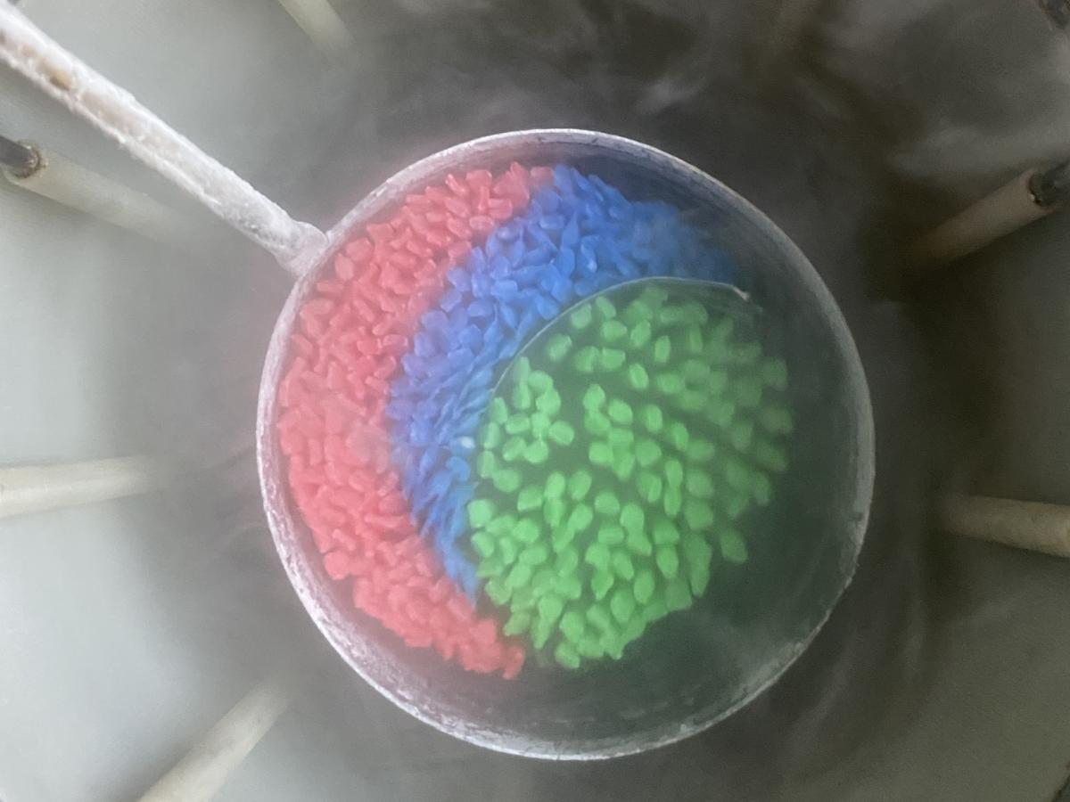 Gobelet de paillettes de semence congelée sortant d'une cuve d'azote liquide