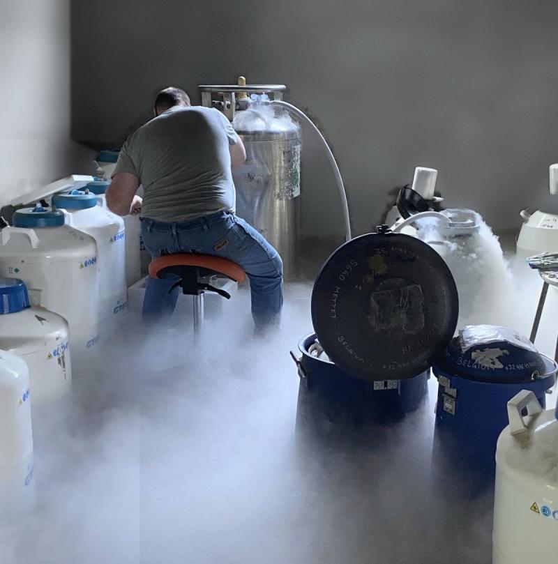Pierre Paindaveine, de dos, travaille entre des cuves d'azote liquide ; une vapeur blanche recouvre le sol du local de stockage.
