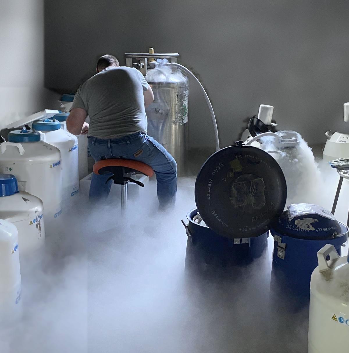 Pierre Paindaveine, de dos, travaille entre des cuves d'azote liquide ; une vapeur blanche recouvre le sol du local de stockage.