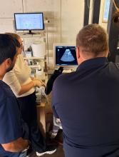 Ponction ovocytaire transvaginale sous contrôle échographique chez une jument pour une procédure d'ICSI